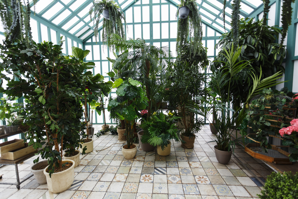 Nos conseils pour cultiver vos plantes sous une véranda serre